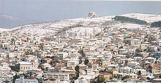 banner-image